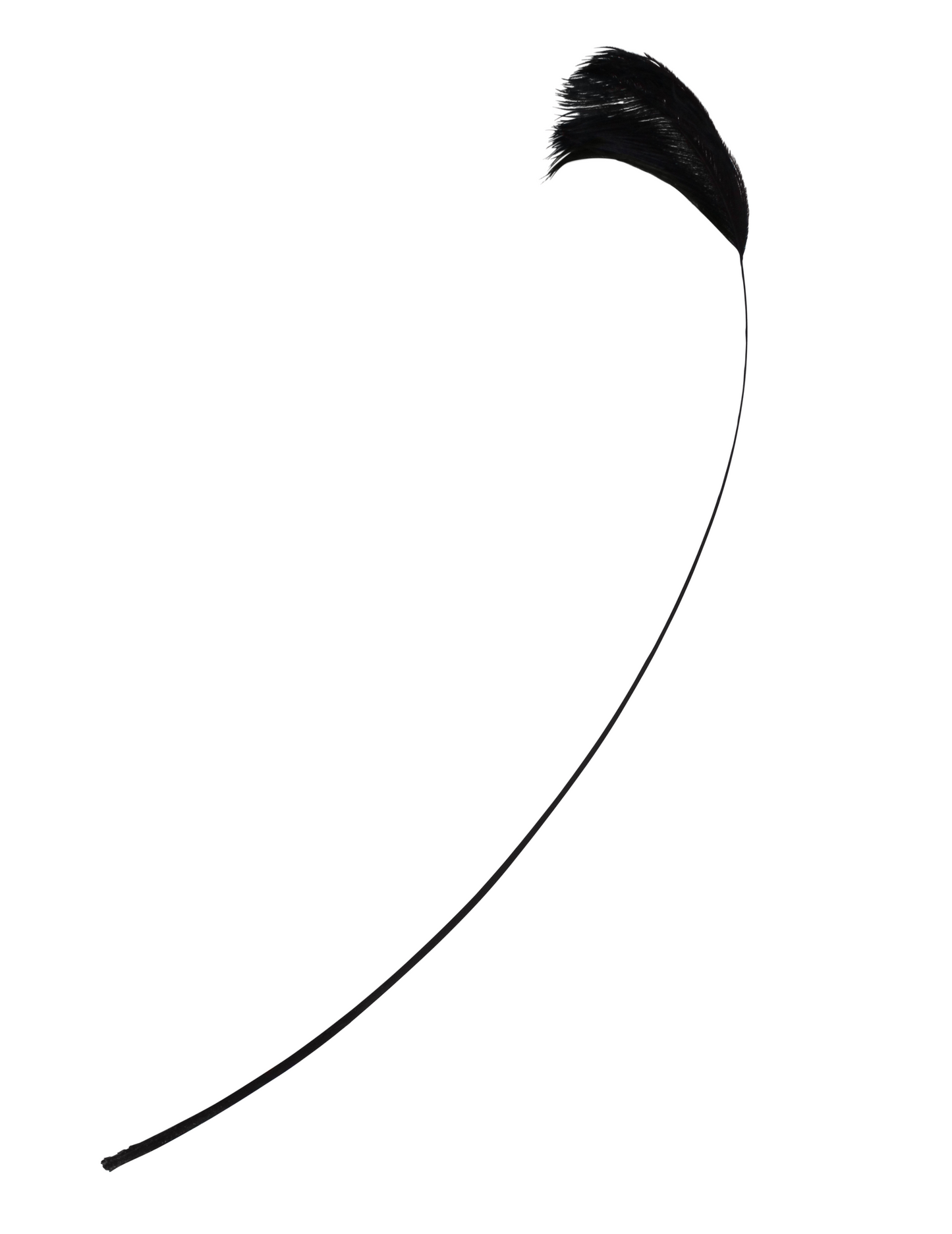 Ostrich Wings Plume Tip H80 Black