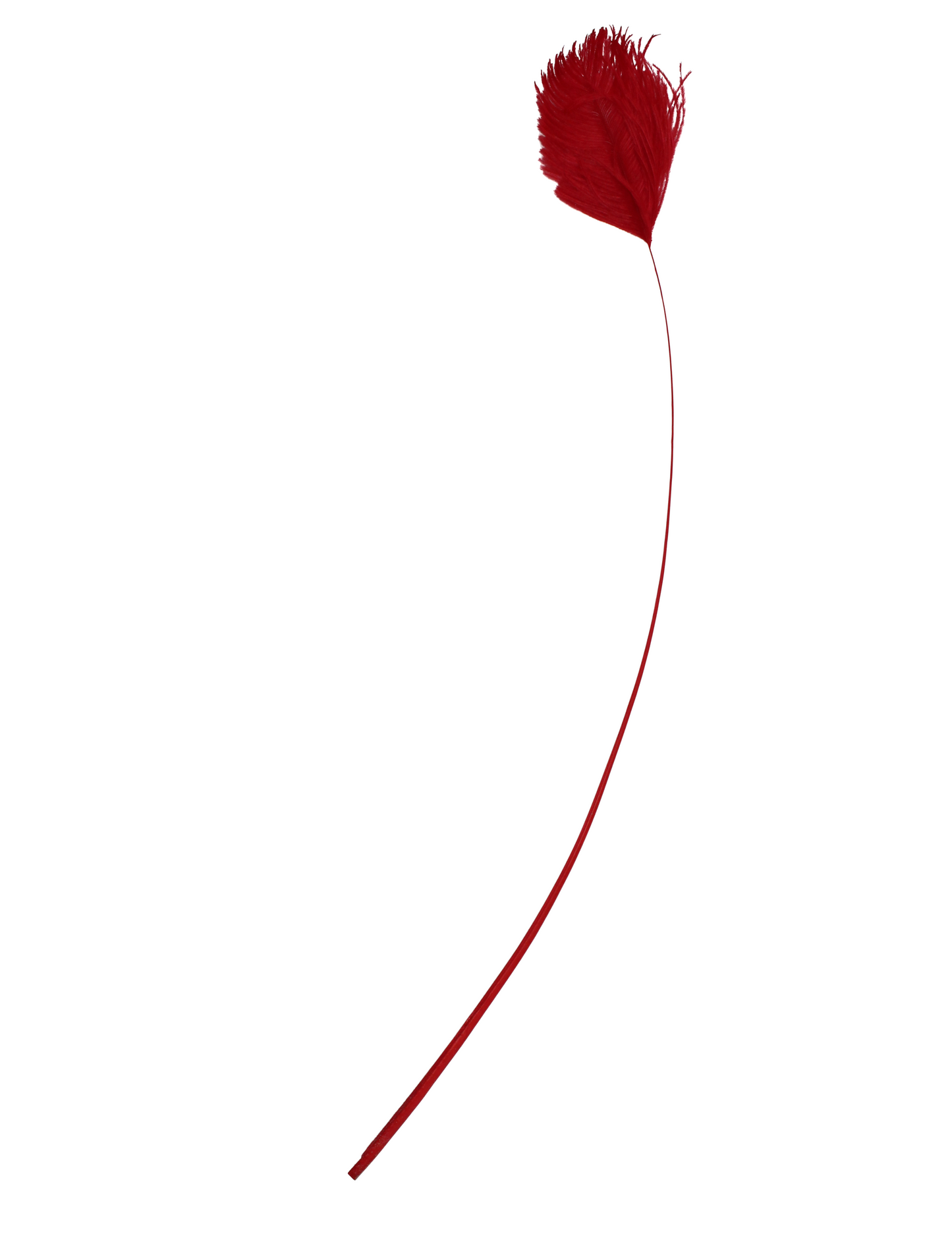 Ostrich Wings Plume Tip H72 Red