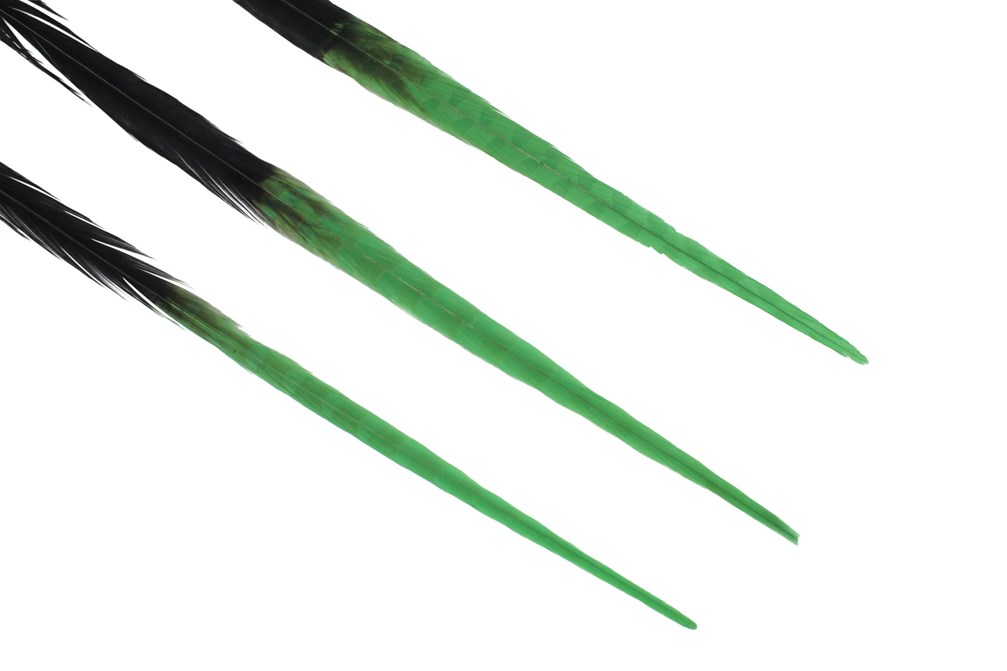 Pheasant Ringneck Bleached & Dyed 2 Tone 17-20" H8 Emerald & H80 Black