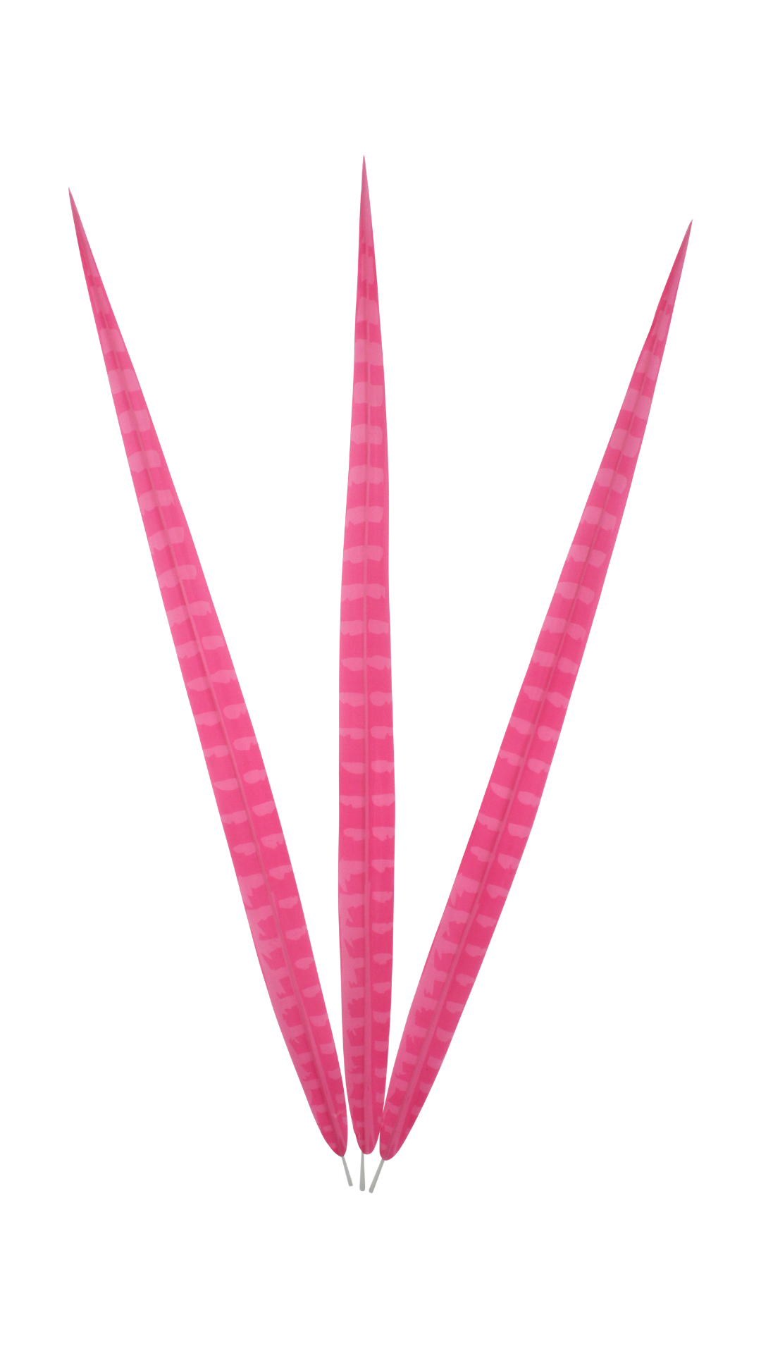 Artificial Ringneck 24" Candy Pink H66 Bleached & Dyed