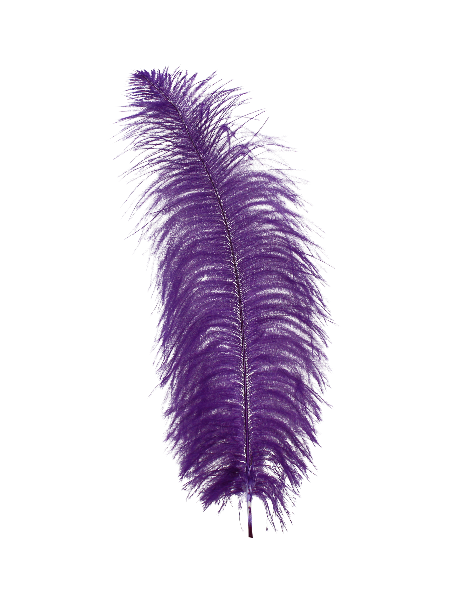 Ostrich Drabs 13-17" H75 Purple