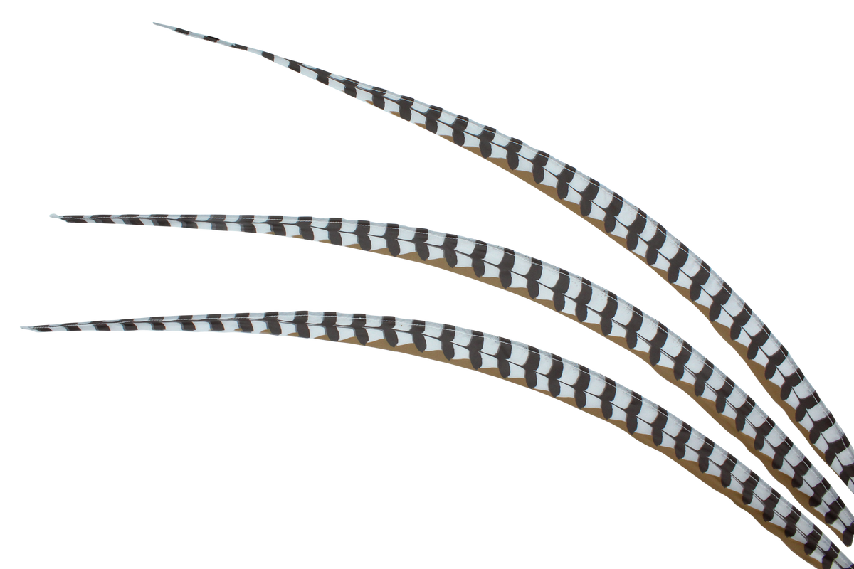 Artificial Pheasant Reeves 38" Natural