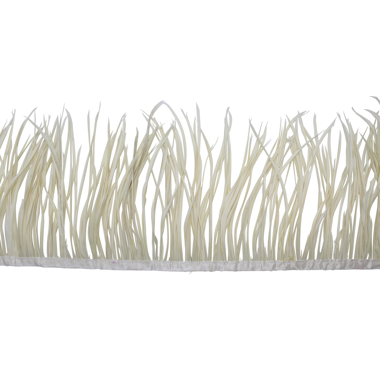 5-7" Goose Biots H33 Ivory