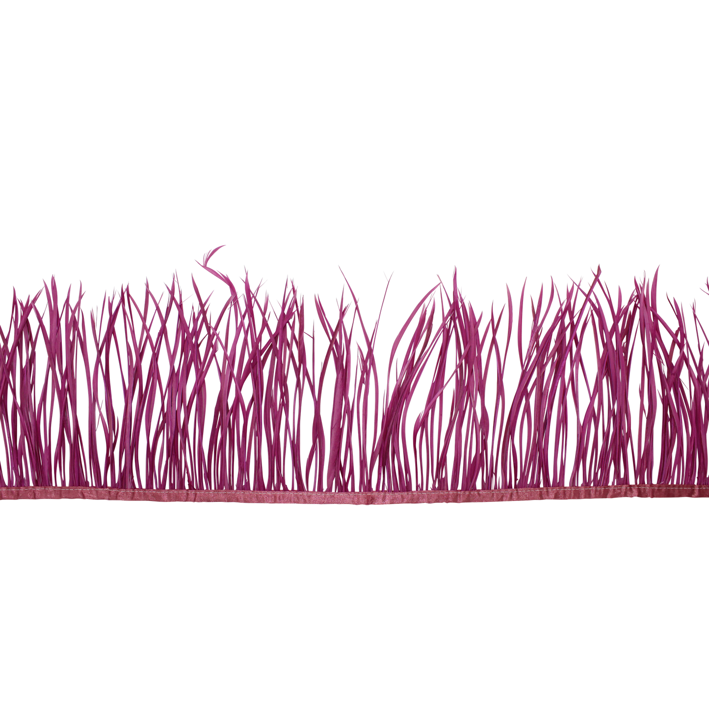 5-7" Goose Biots H50 Mauve