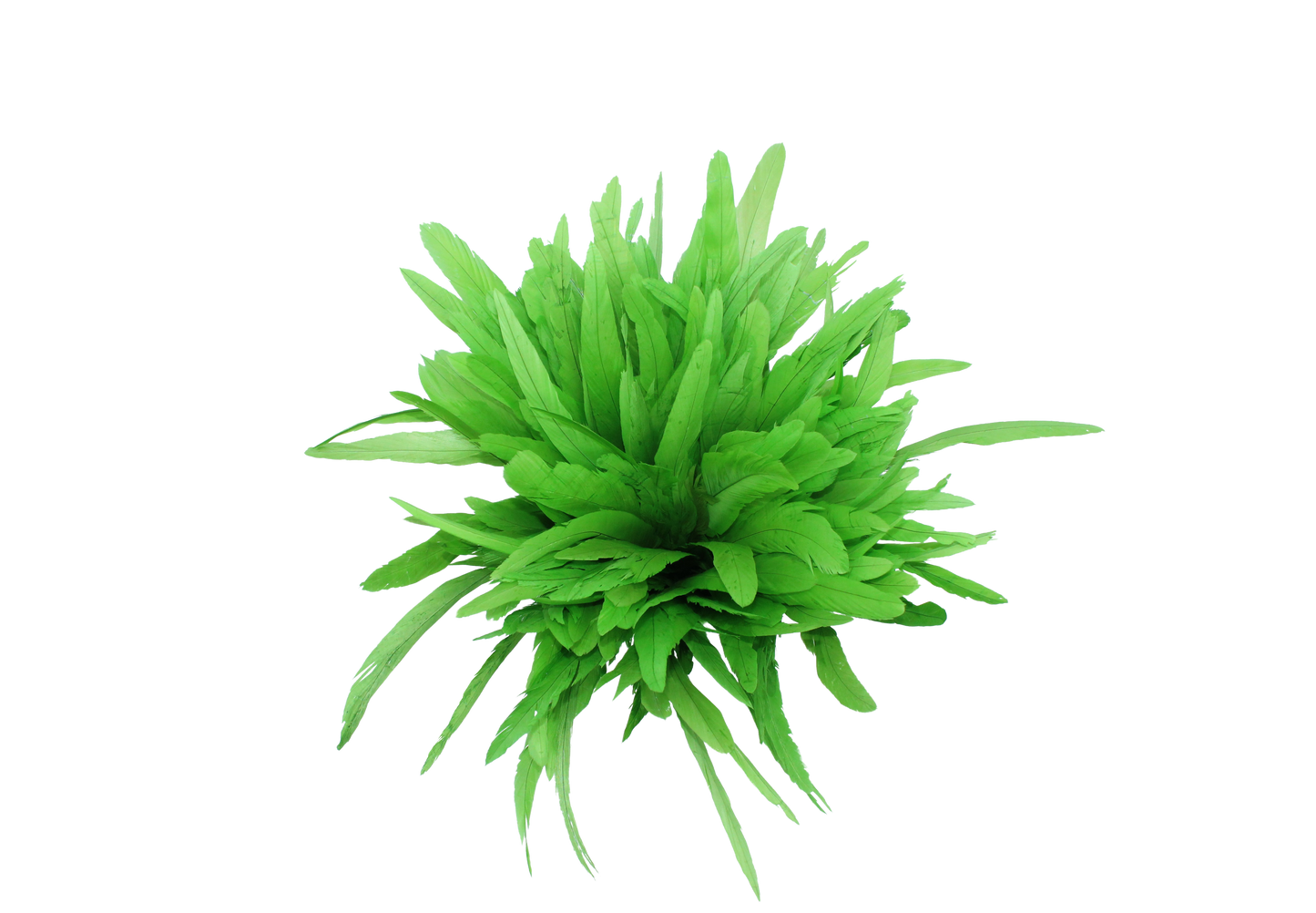 10" Cocktail Yards H8 Apple Green