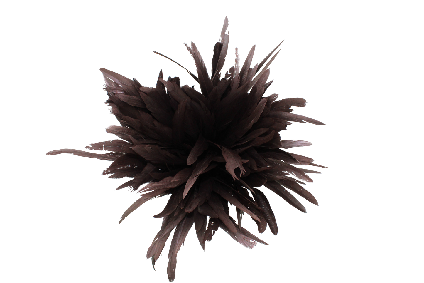 10" Cocktail Yards H31 Dark Brown