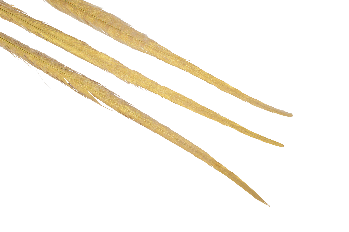 Pheasant Ringneck Diamond Gold 20-22"