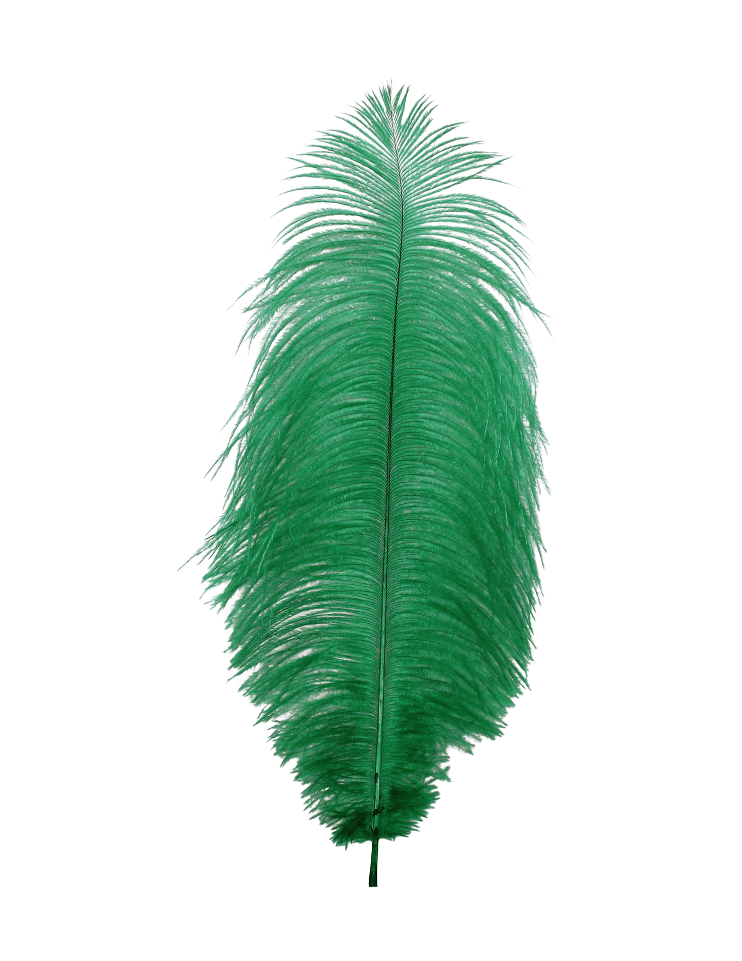 Ostrich Drabs 13-17" H10 Kelly Green