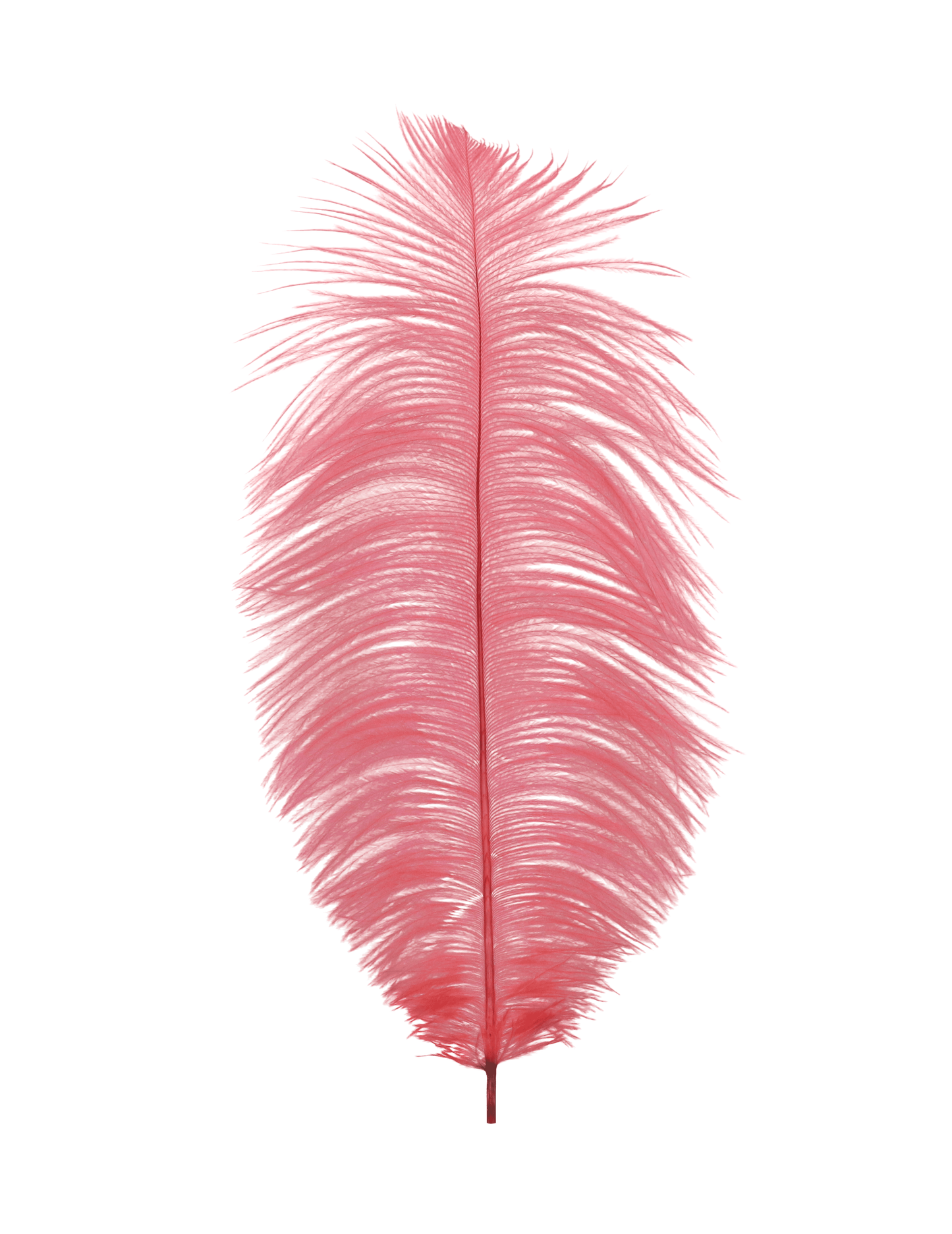 Ostrich Drabs 13-17" H111 Coral