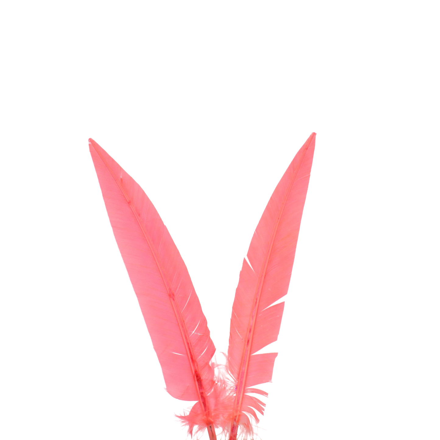 10-12” Turkey Quills Arrow Cut H111 Coral