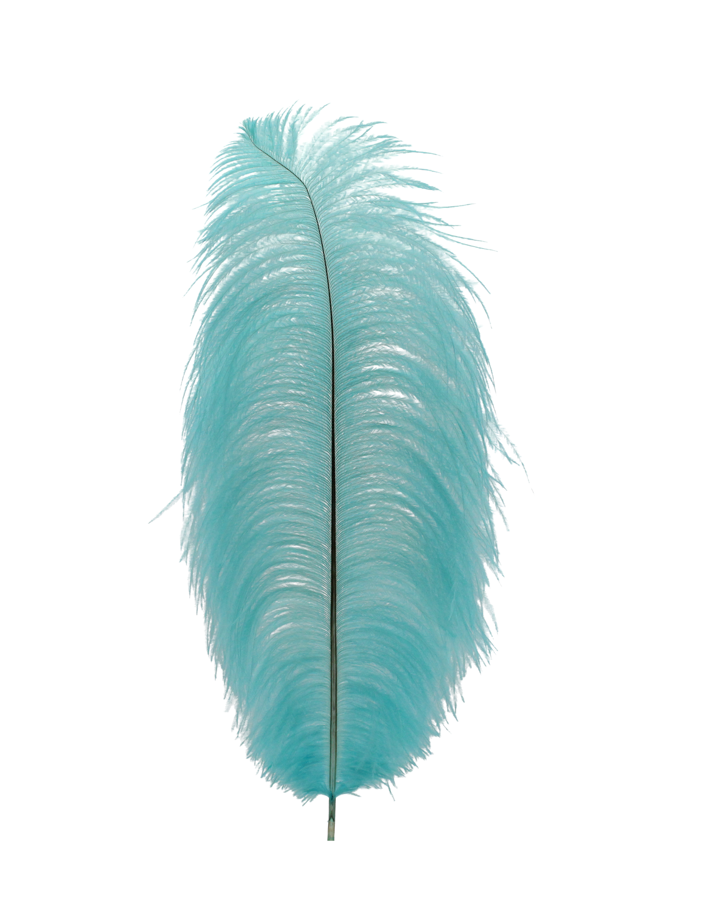 Ostrich Drabs 13-17" H11 Baby Blue