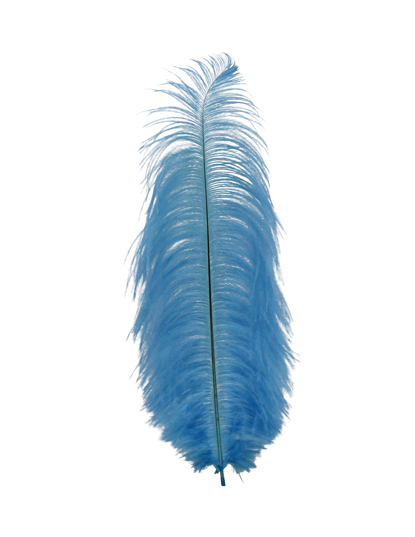 Ostrich Drabs 13-17" H15 Sky Blue