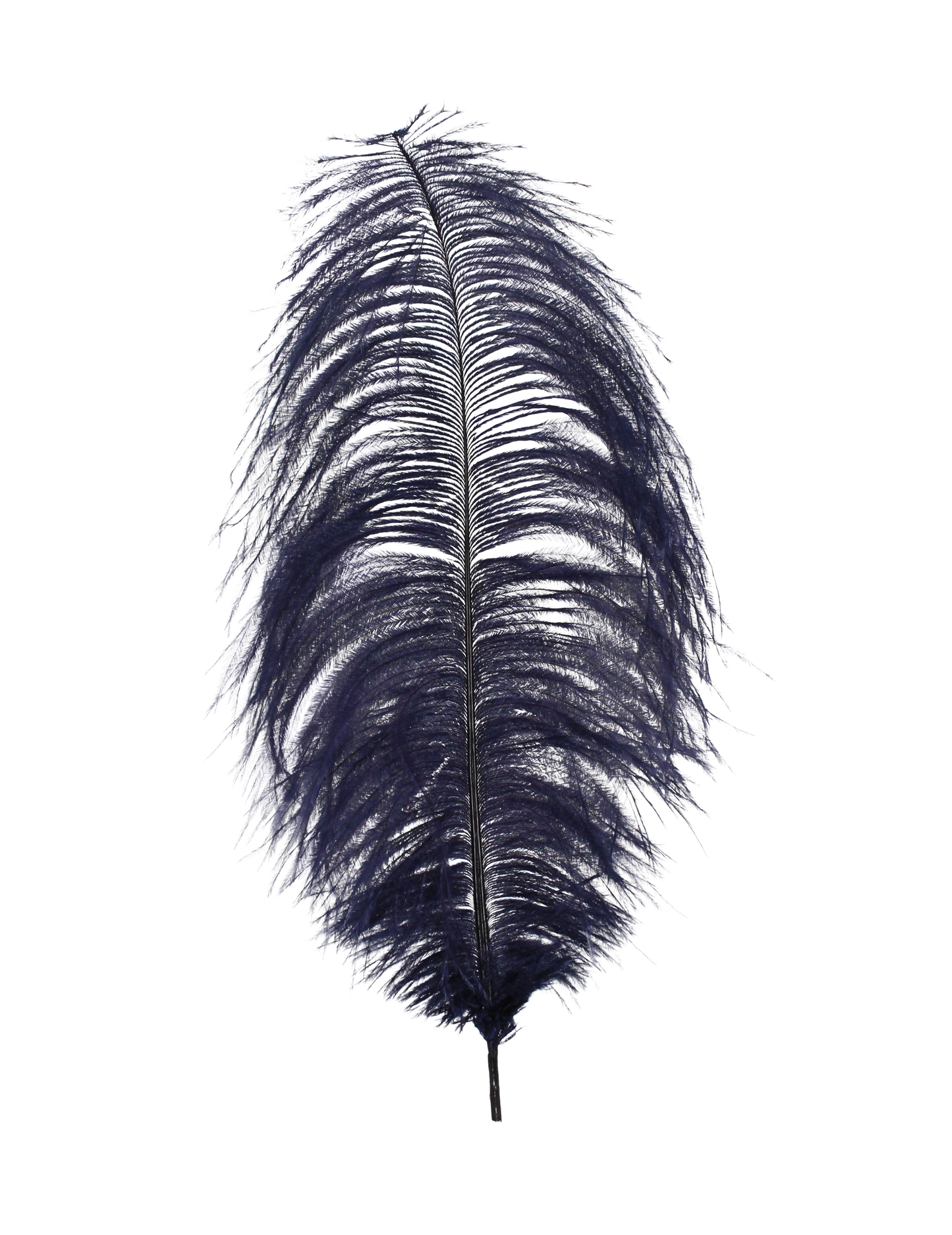 Ostrich Drabs 13-17" H24 Navy