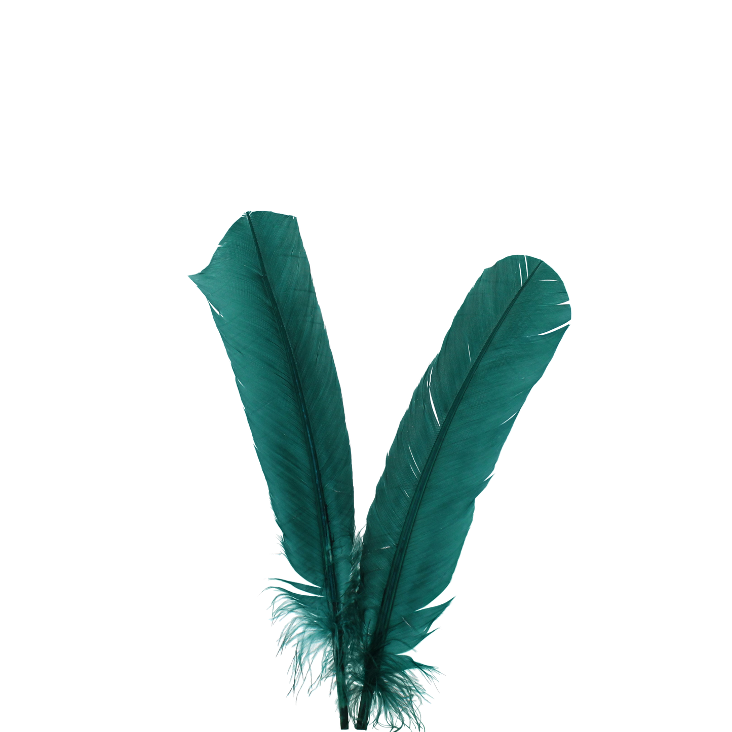 10-12” Turkey Quills H3 Teal