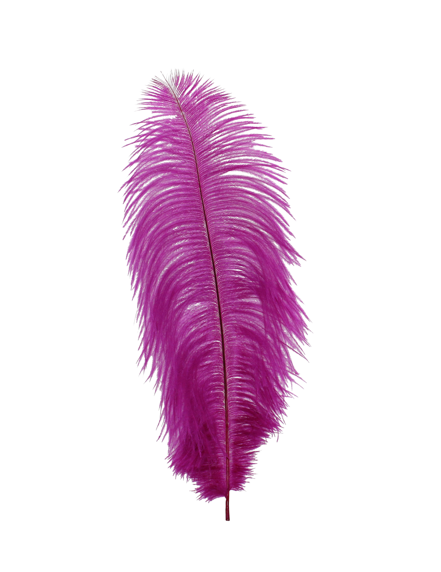 Ostrich Drabs 13-17" H52 Grape