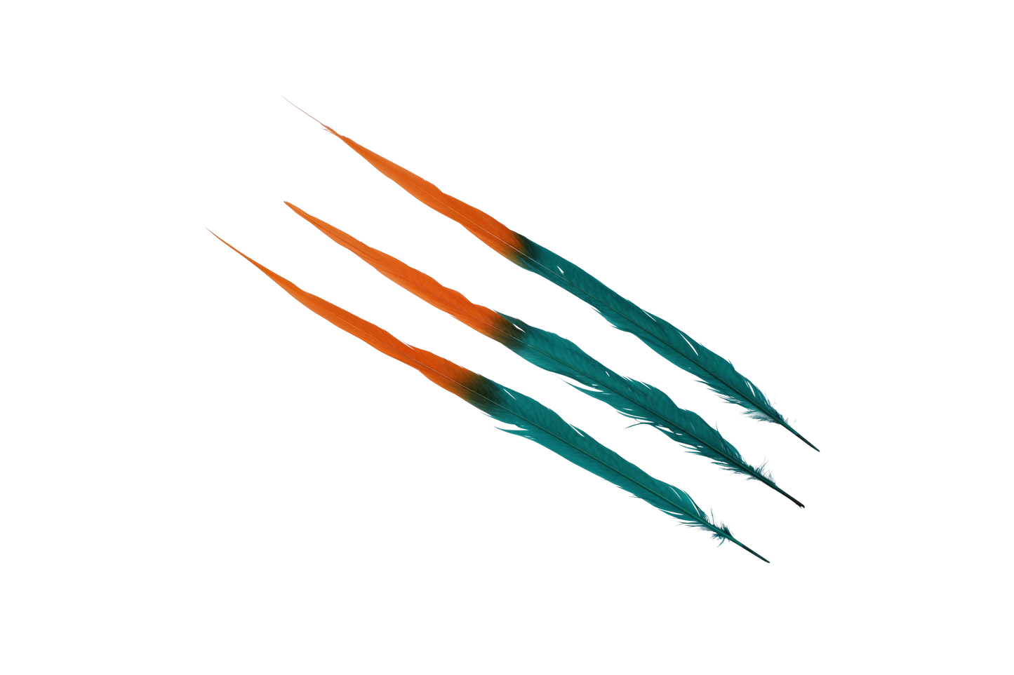 Pheasant Goldentail Bleached & Dyed 2 Tone Pieces 17-20" H62 Orange & H87 Aquamarine