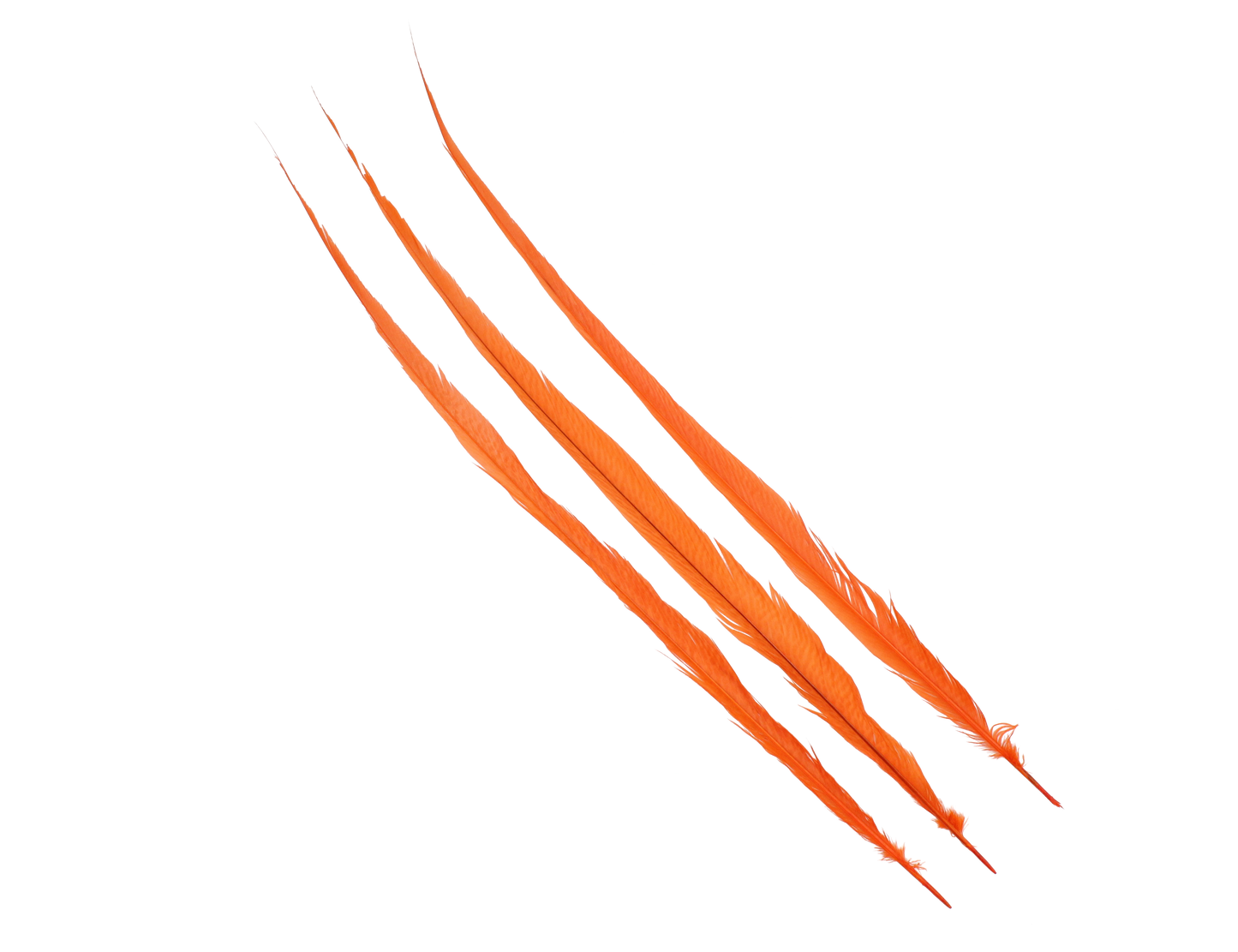 Pheasant Goldentail Bleached & Dyed Pieces 24-28" H62 Orange