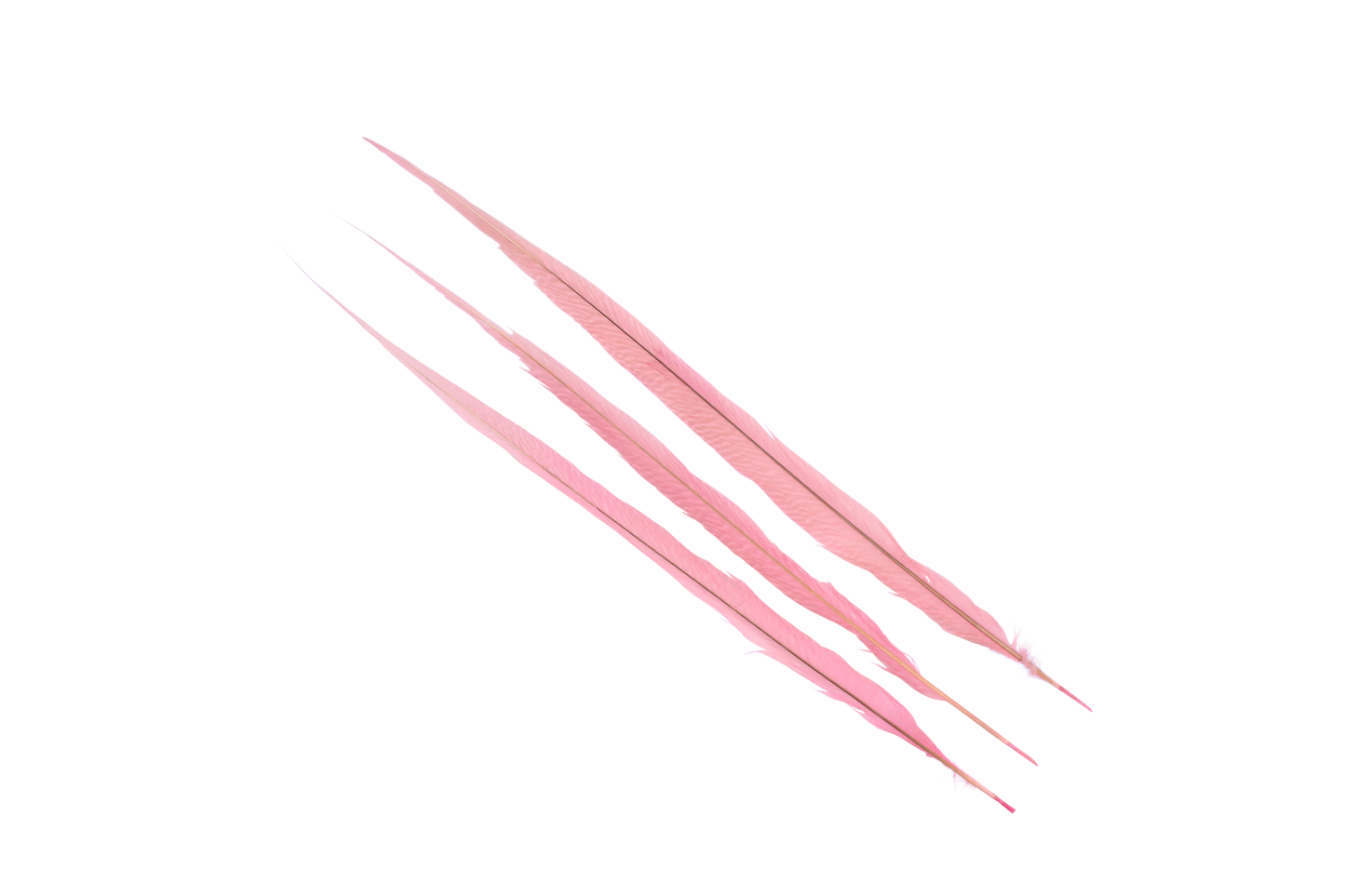 Pheasant Goldentail Bleached & Dyed Pieces 24-28" H64 Baby Pink