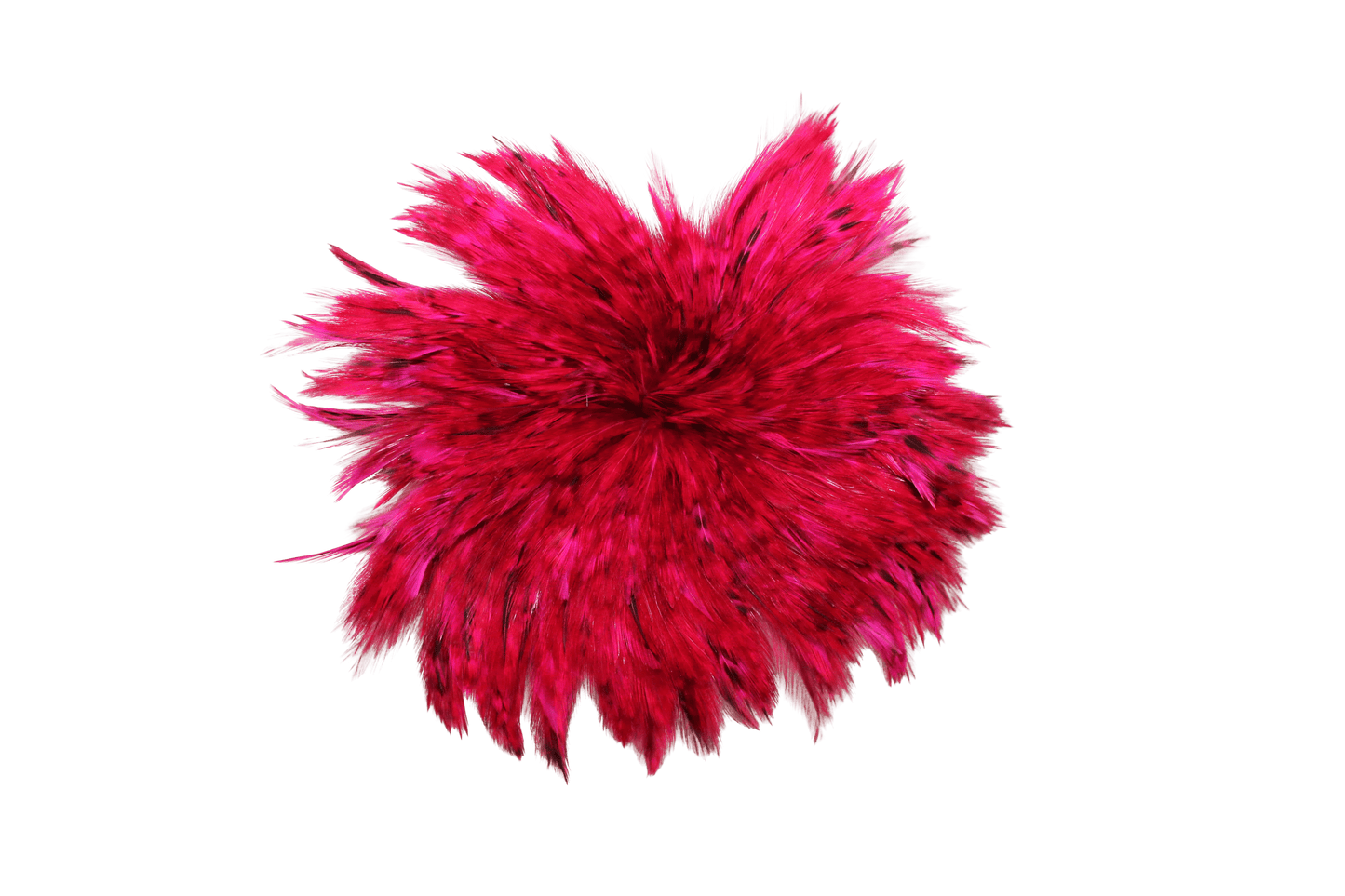 4-6" Grizzly Hackles H70 Fuchsia