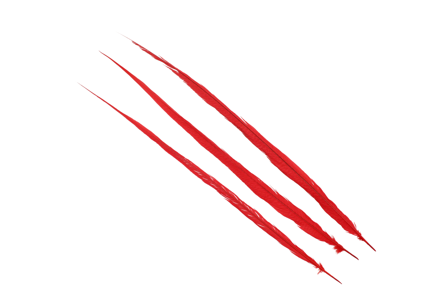 Pheasant Goldentail Bleached & Dyed Pieces 24-28" H72 Red