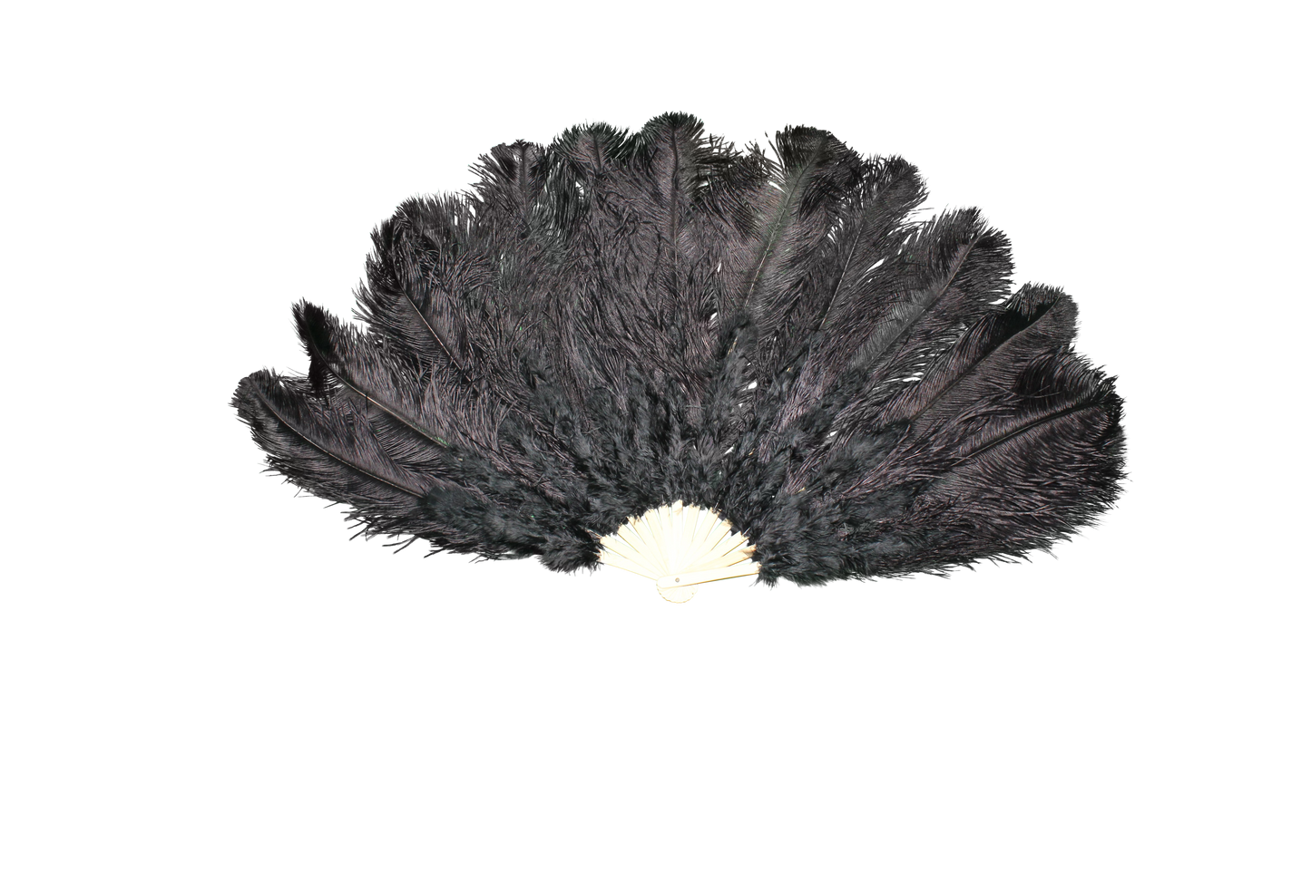 Feather Products Feather Fans H80 Black