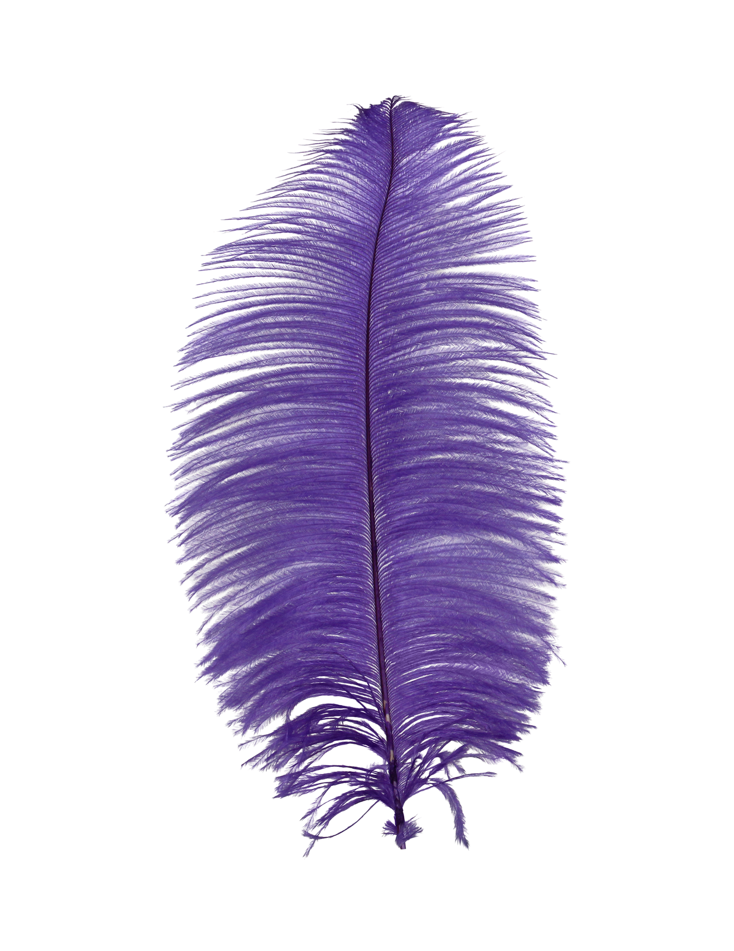 Ostrich Drabs 13-17" H86 Violet