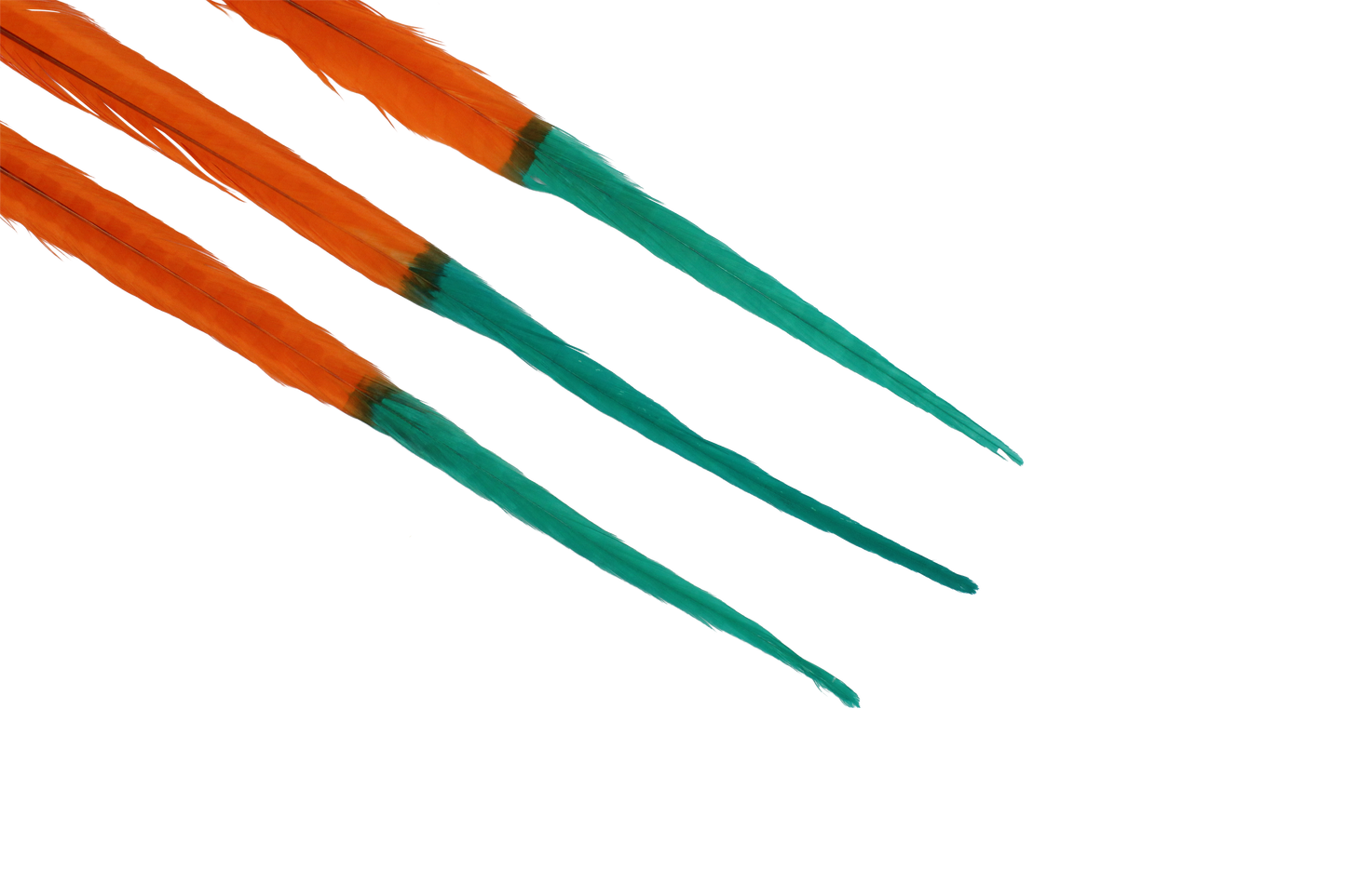 Pheasant Ringneck Bleached & Dyed 2 Tone 17-20" H62 Orange & H87 Aquamarine