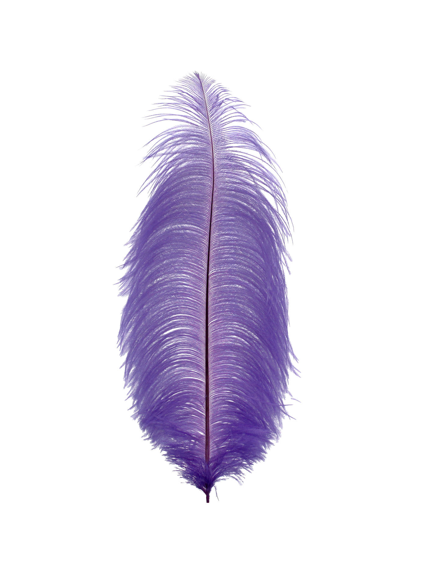Ostrich Drabs 13-17" H89 Lavender