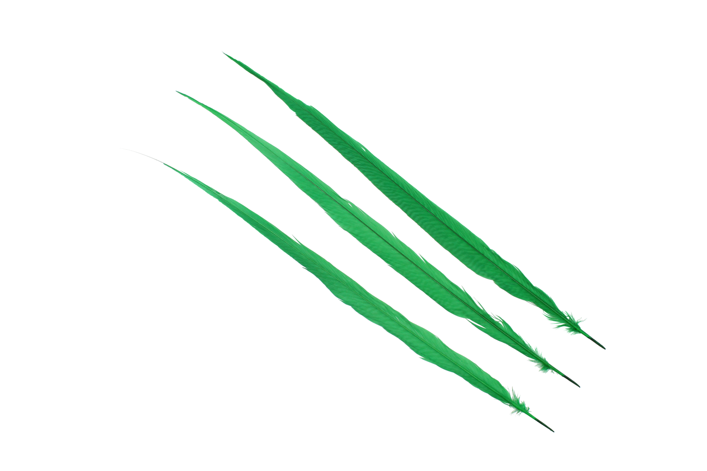 Pheasant Goldentail Bleached & Dyed Pieces 24-28" H9 Emerald Green