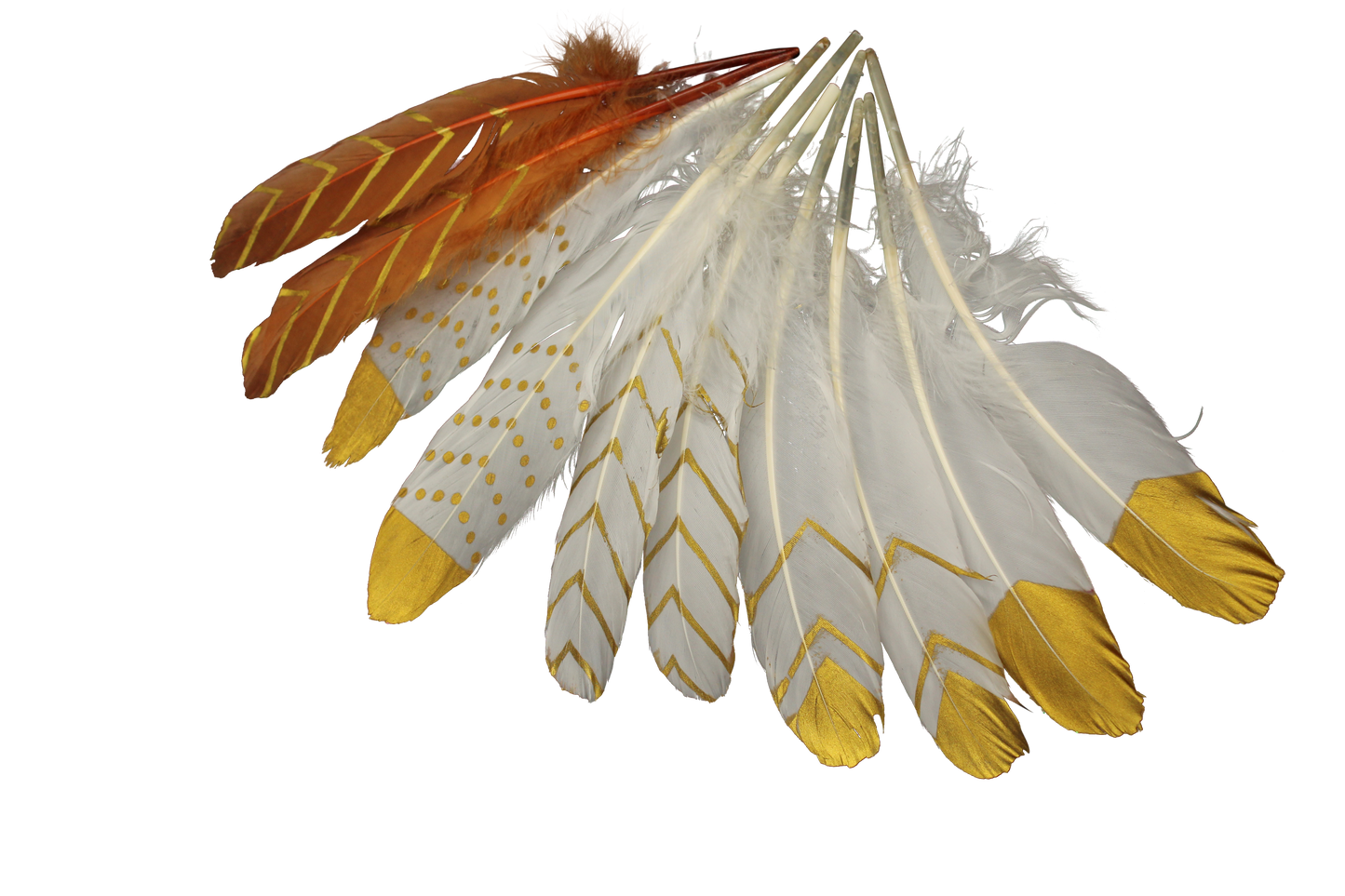 MD 7" Short Quills Assortment with Gold Design (10pcs)