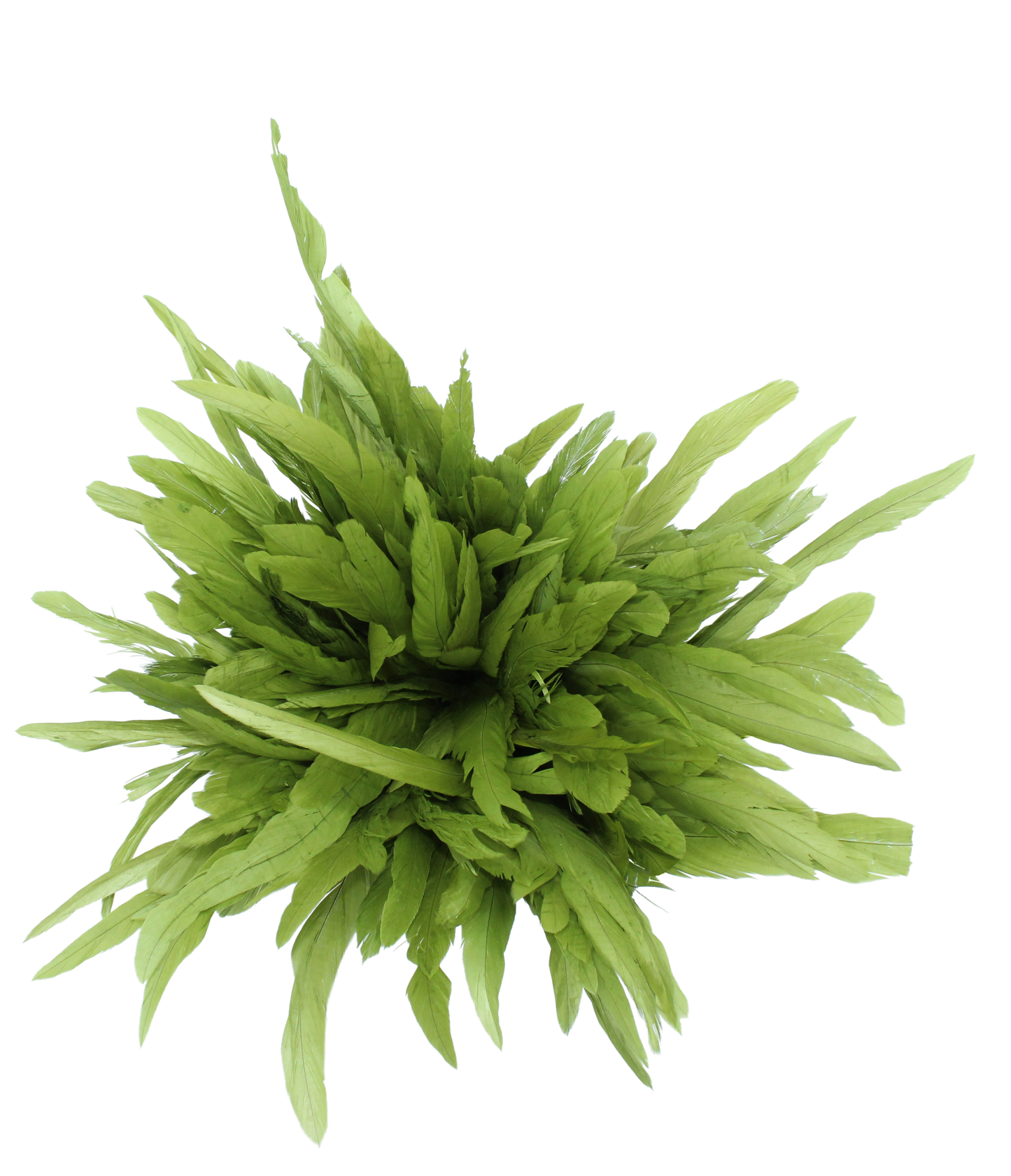 12-14" Cocktail Pounds H1 Olive 1 lb ≈ 3 yds