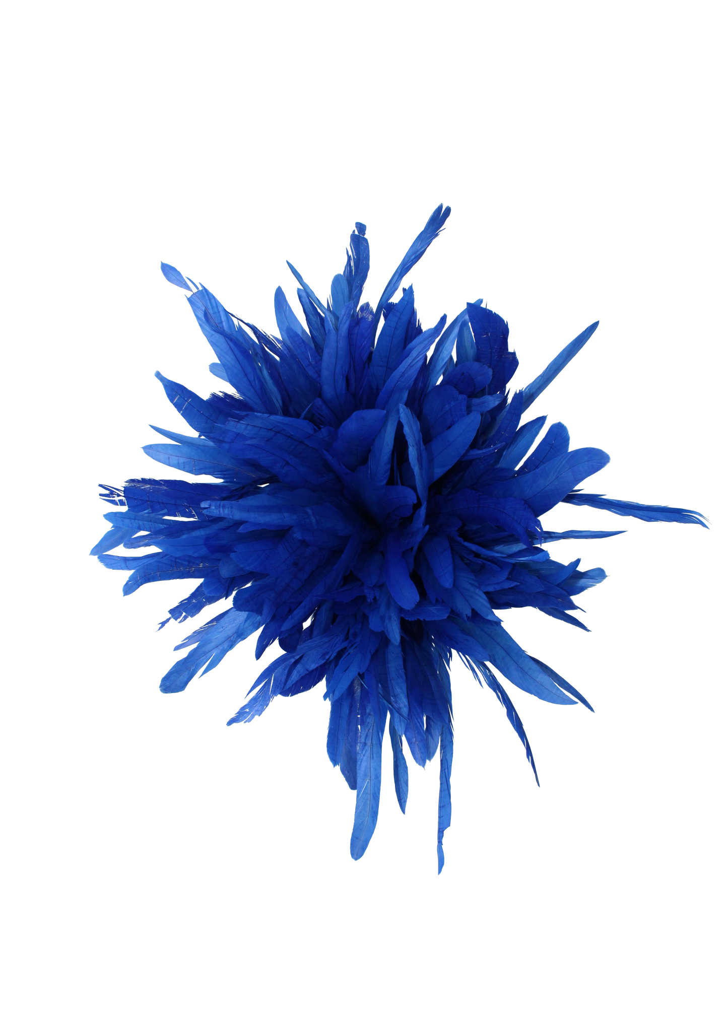 12" Cocktail Yards H17 Royal Blue