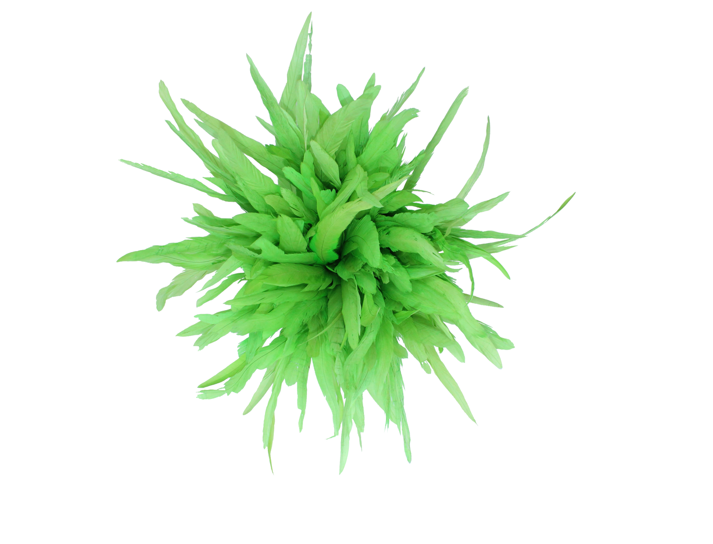 10" Cocktail Yards H101 Lime