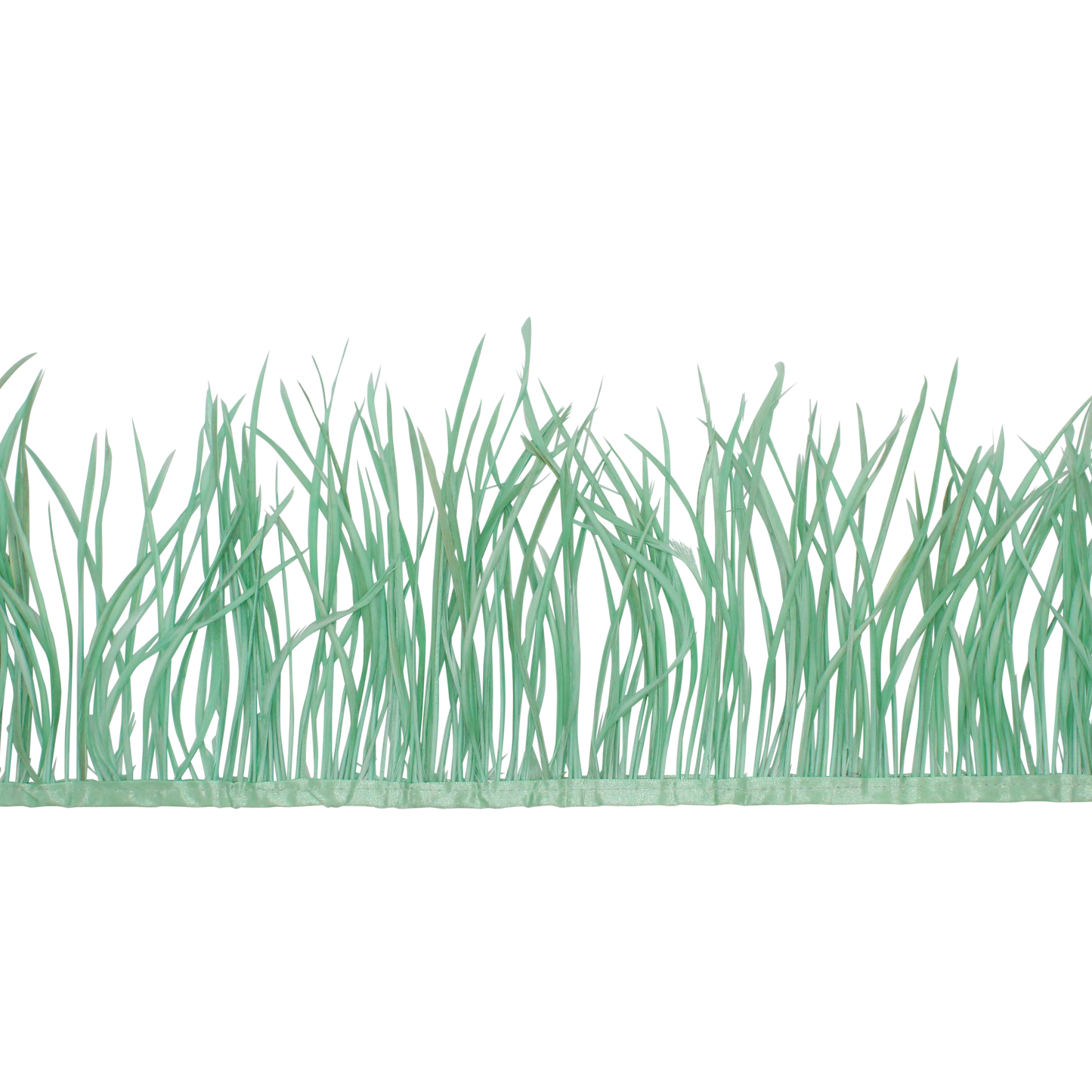 5-7" Goose Biots H6 Mint