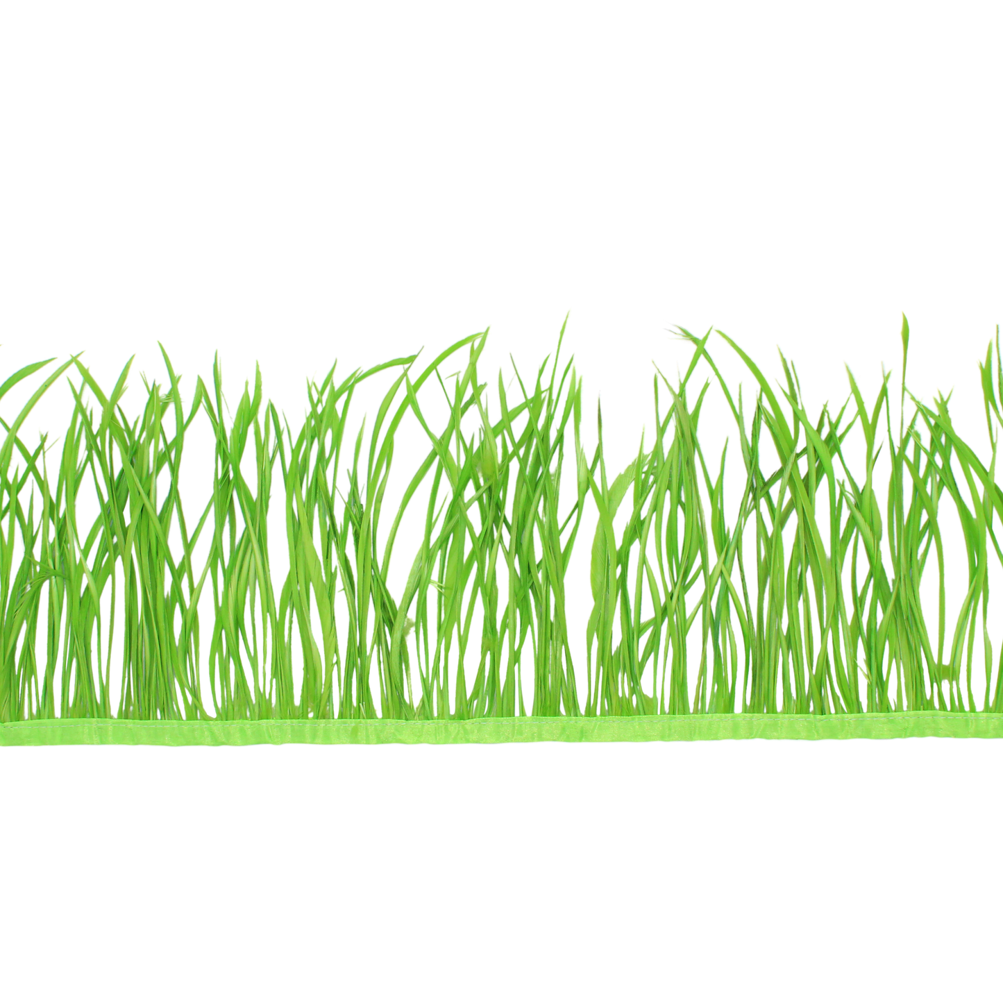 5-7" Goose Biots Apple H7