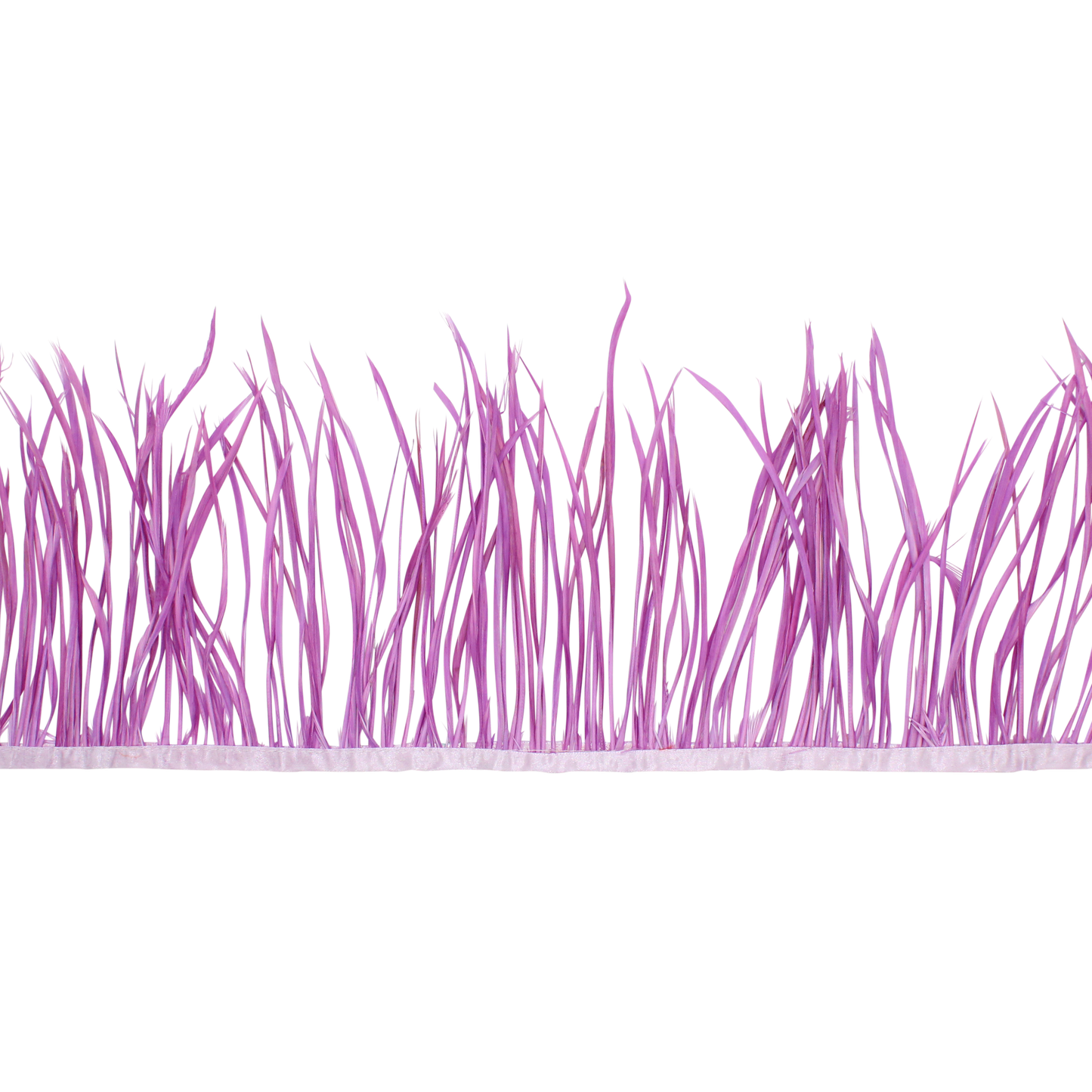 5-7" Goose Biots H74 Lilac