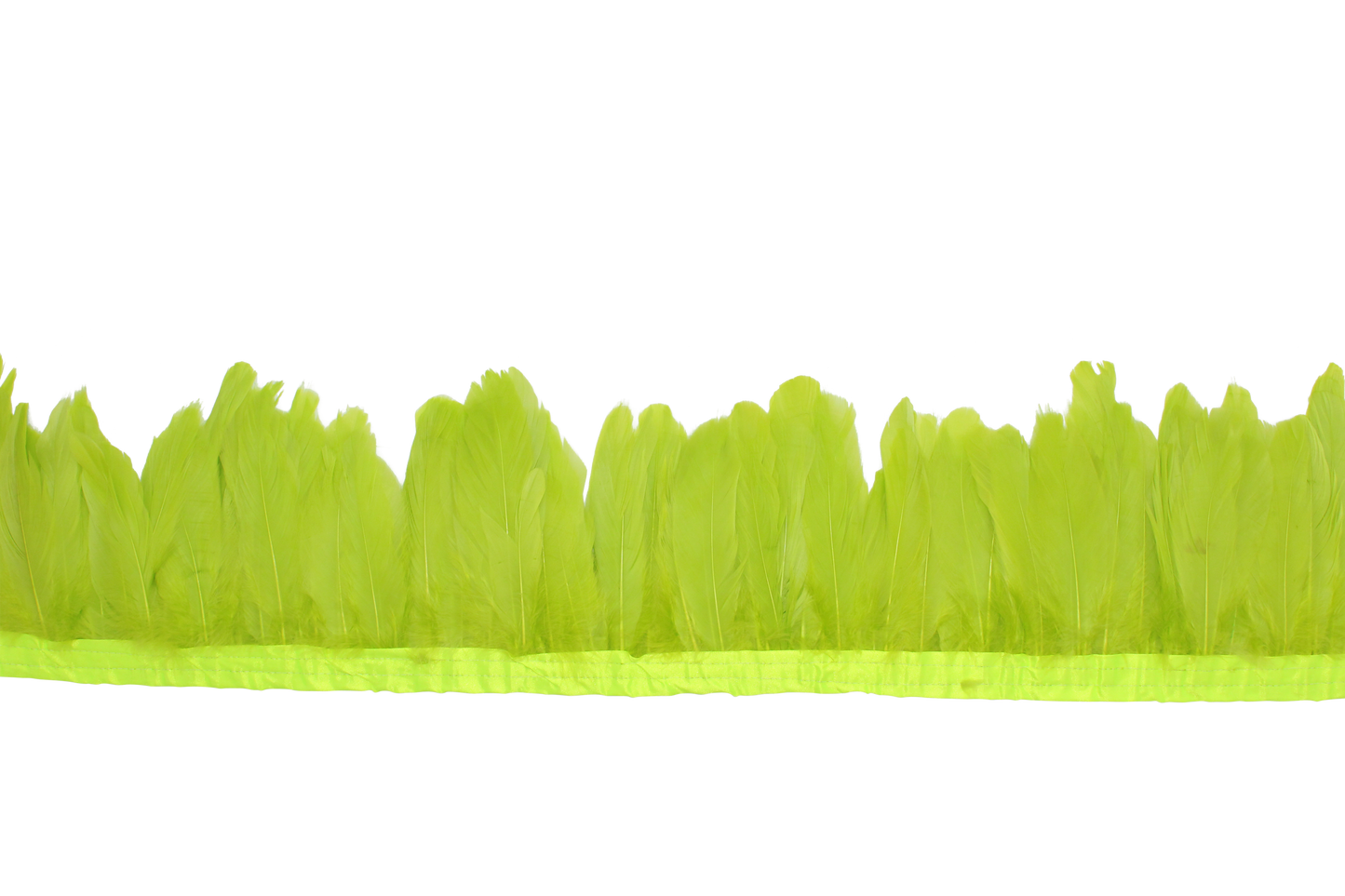 5-7" Goose Nagories Yards H7 Apple