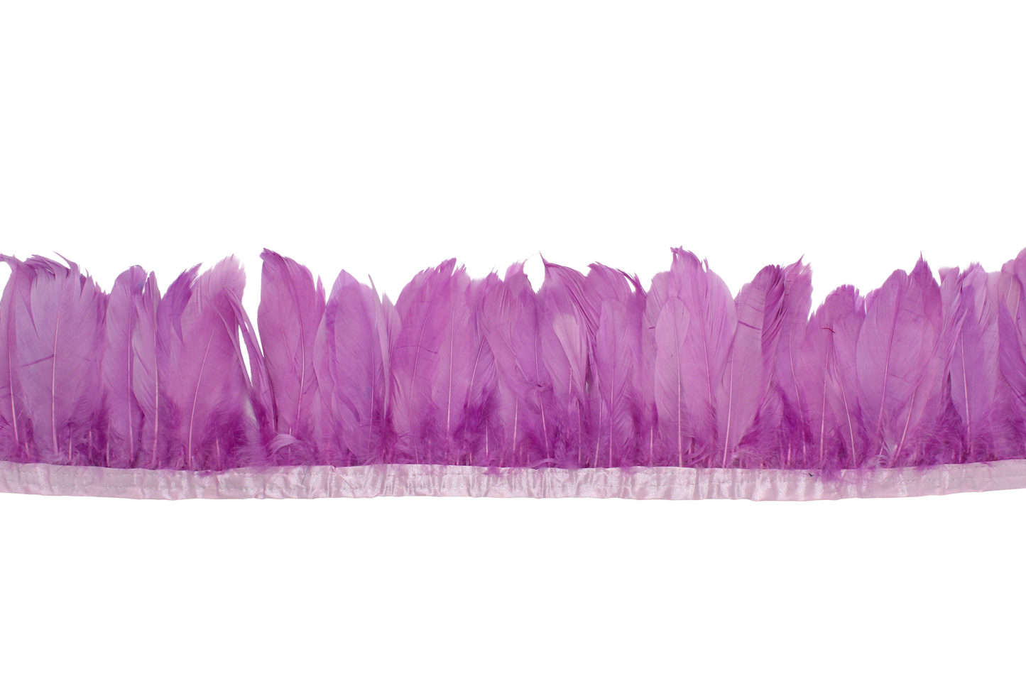 5-7" Goose Nagories Yards H74 Lilac