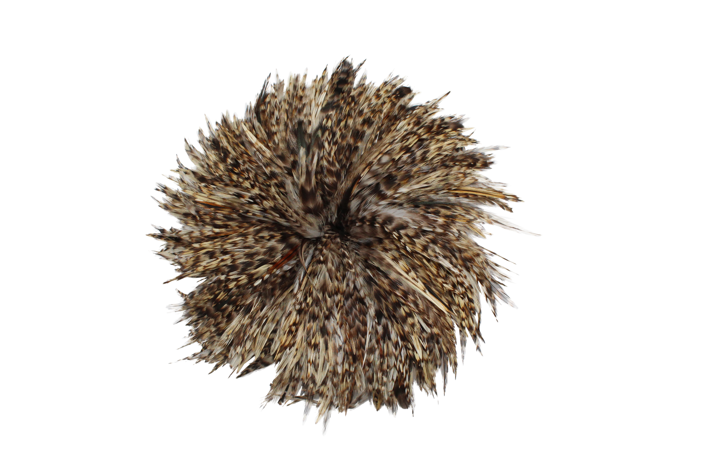 6-7" Rooster Saddles Natural