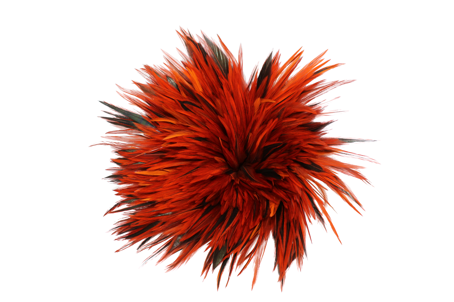 6-7" Rooster Saddles Overdyed Orange H62