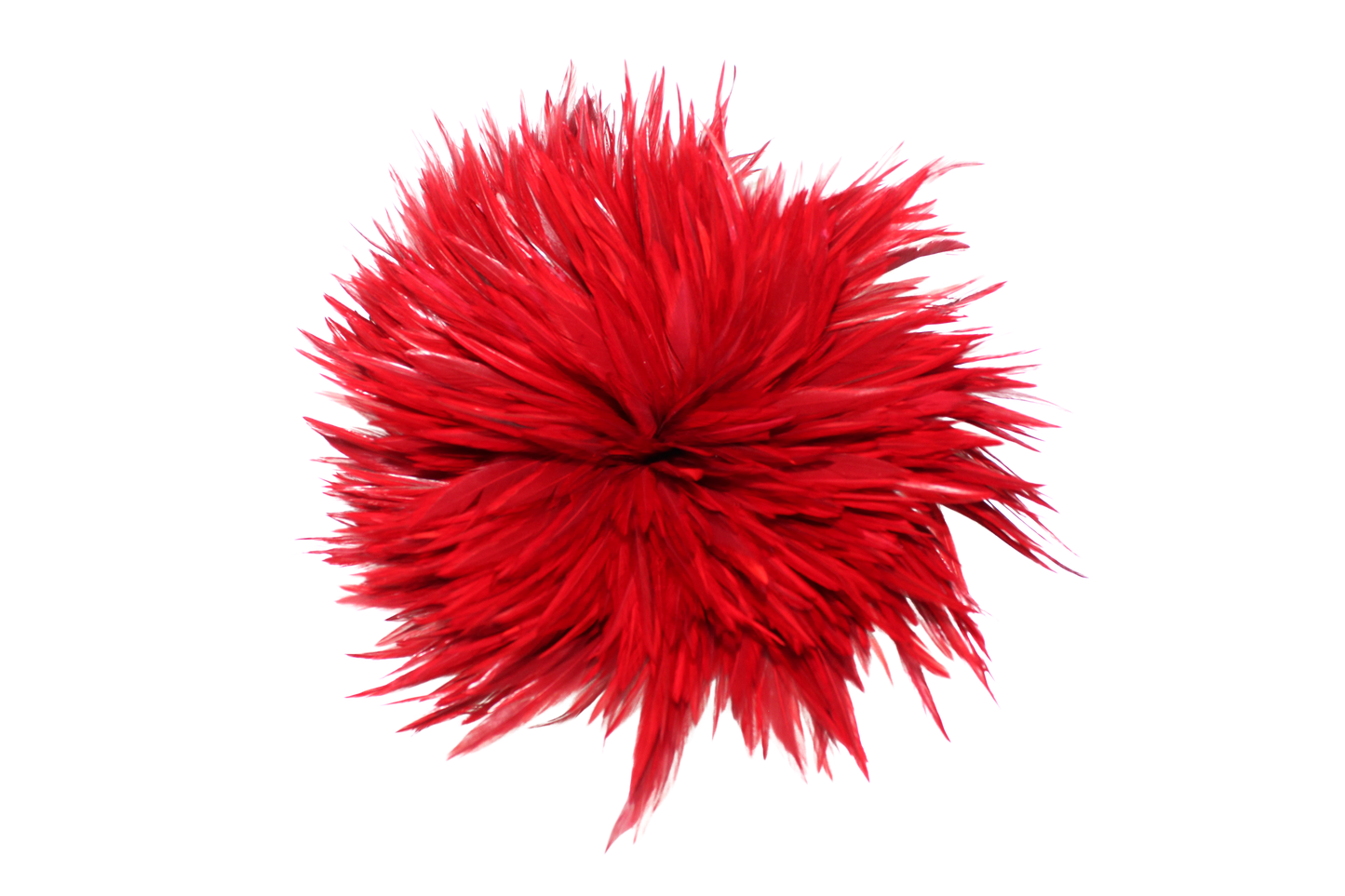 6-7" Rooster Saddles Overdyed Red H72