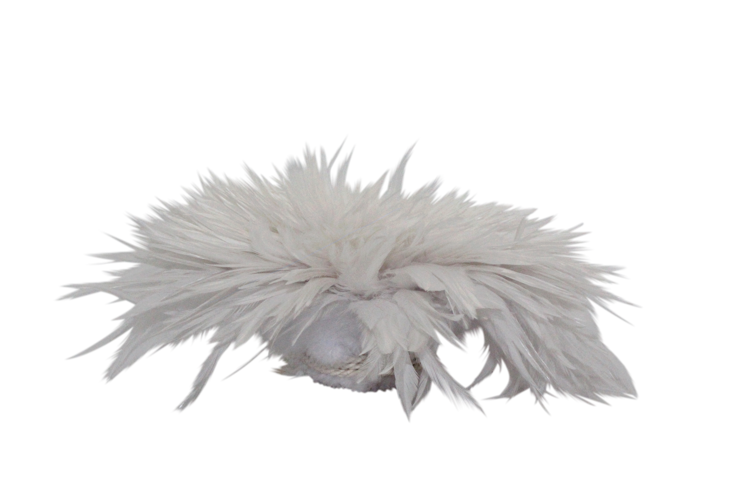 Saddles Pound Bleached & Dyed White H81