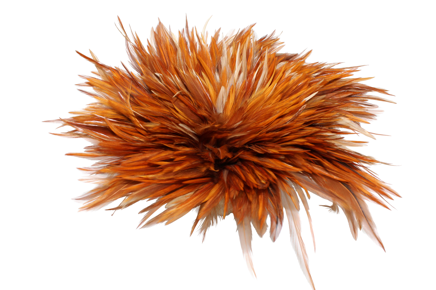 Natural Saddles Pounds 6–7"