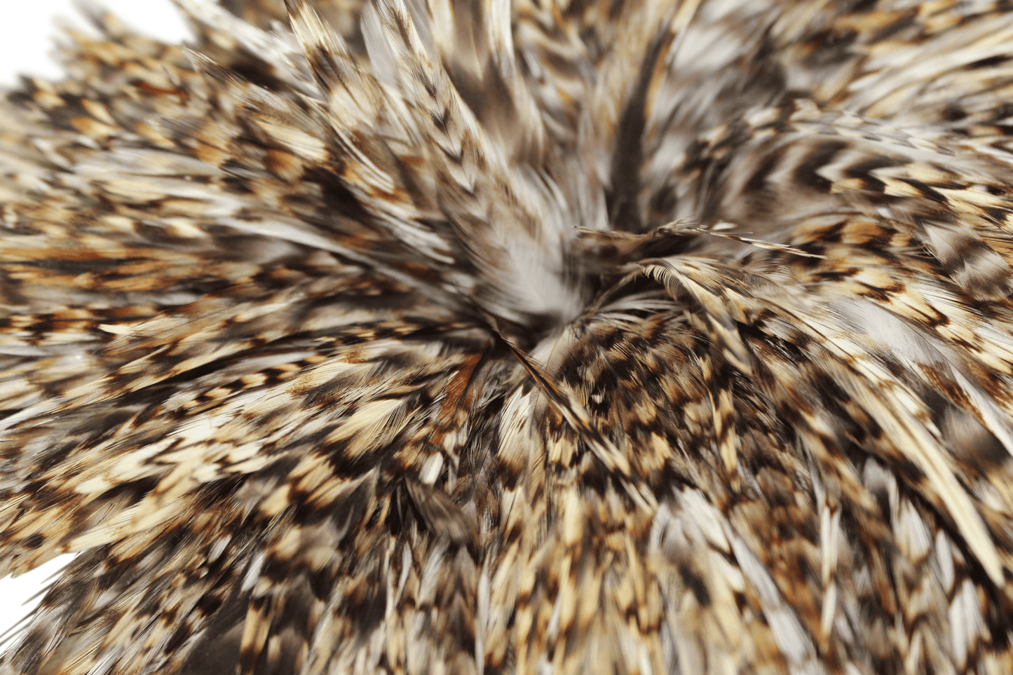 Saddles 6-7" Natural Strung