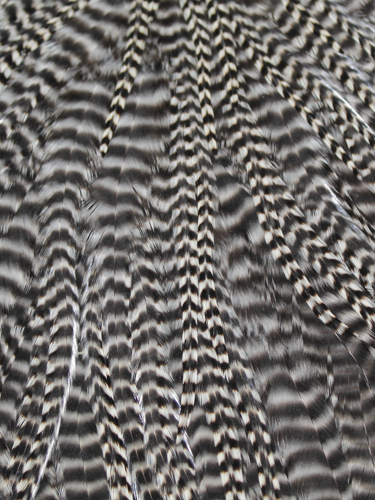Grizzly Capes
