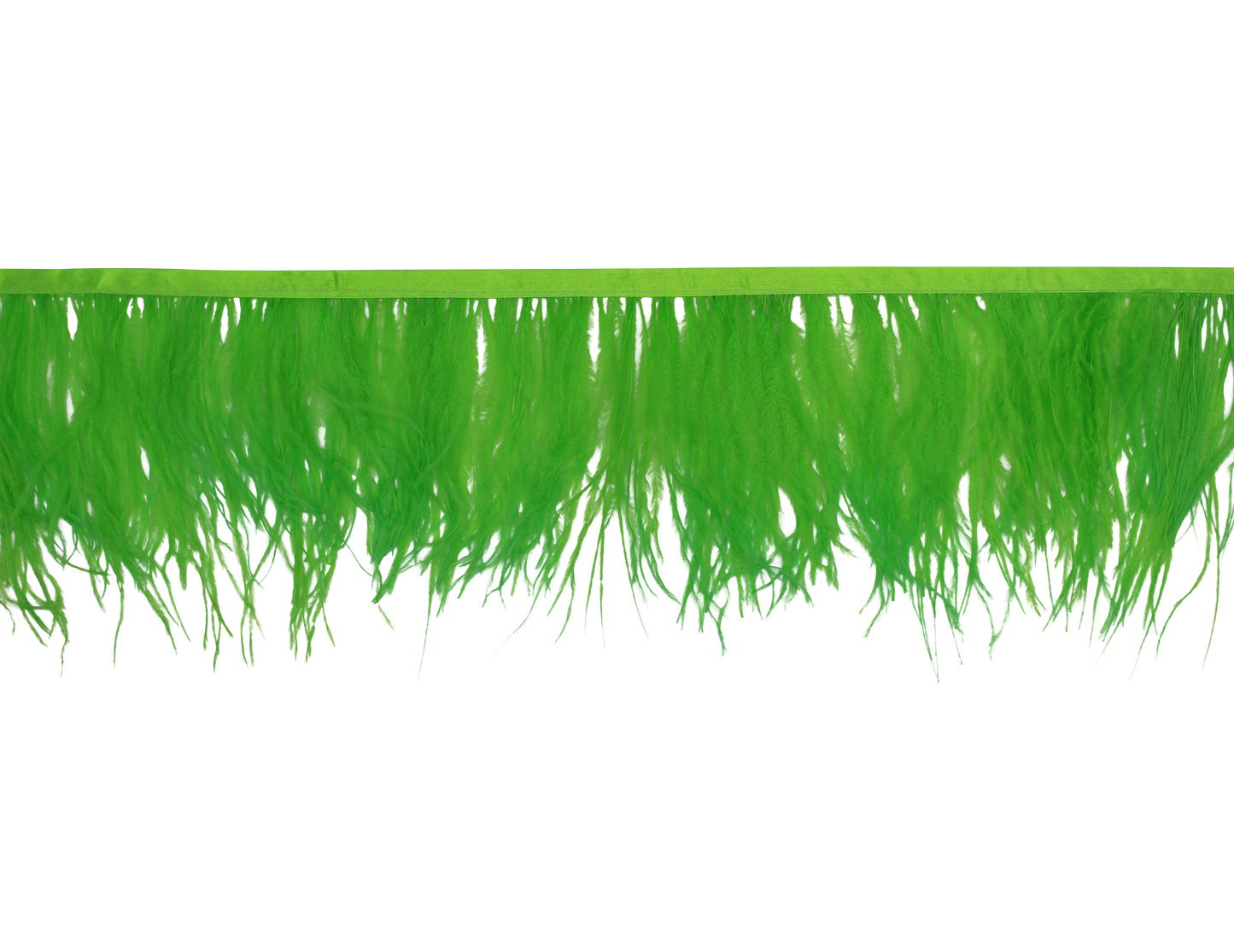 Ostrich Fringe 5-7" H101 Lime
