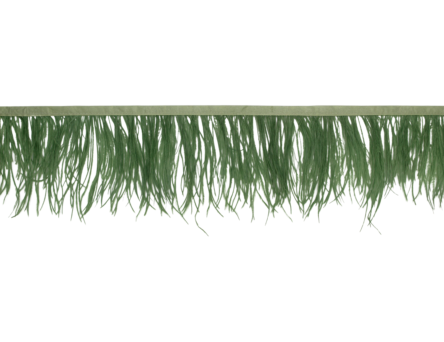 Ostrich Fringe 5-7" H107 Sage