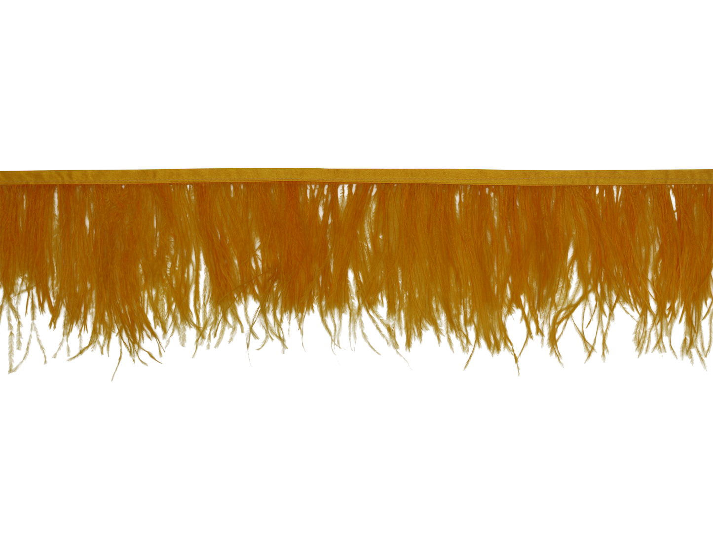 Ostrich Fringe 5-7" H38 Gold