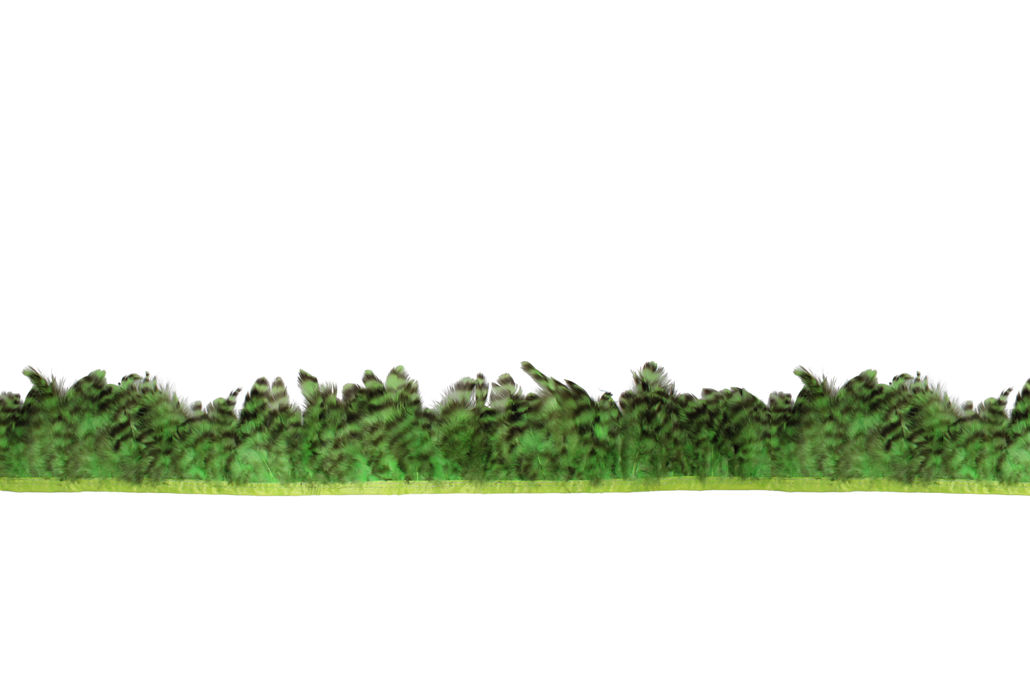 4-6” Chinchilla Schlappen H101 Lime