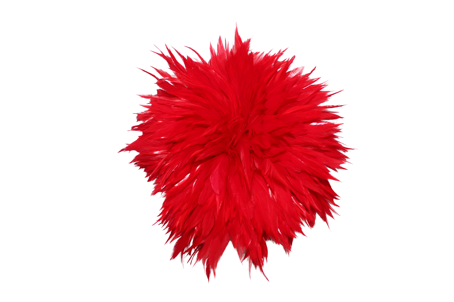 6-7" Rooster Saddles Bleached & Dyed H72 Red
